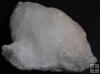 White Selenite Mineral Specimen Fluorescent Mexico