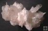 Calcite Nailhead Spar Mineral Specimen Fluorescent